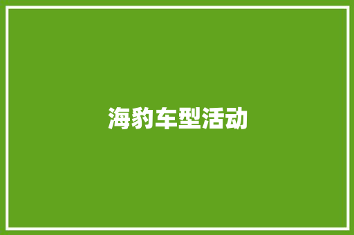 海豹车型活动