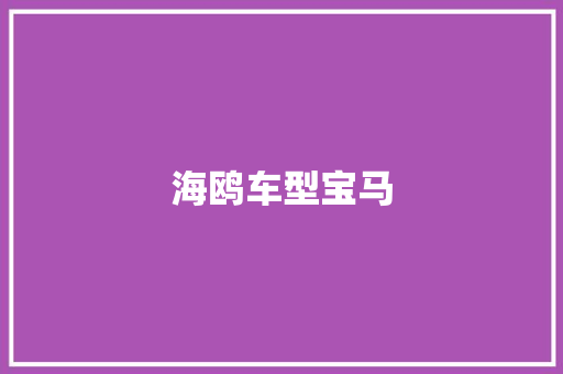 海鸥车型宝马
