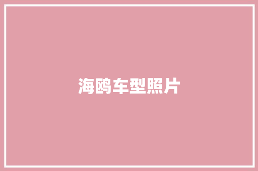 海鸥车型照片