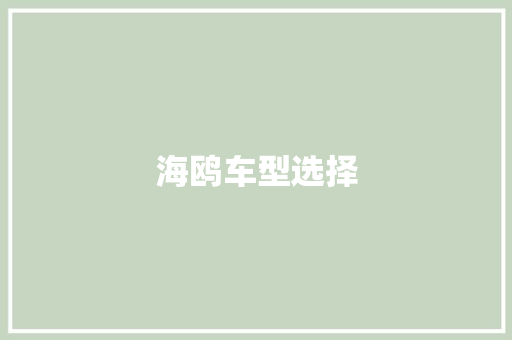 海鸥车型选择