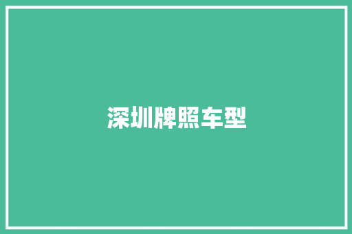 深圳牌照车型