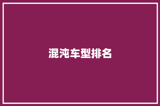 混沌车型排名