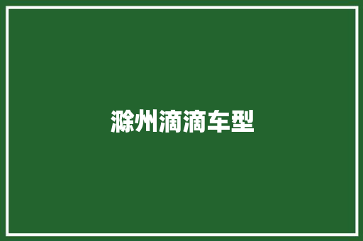 滁州滴滴车型