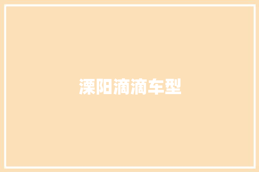 溧阳滴滴车型