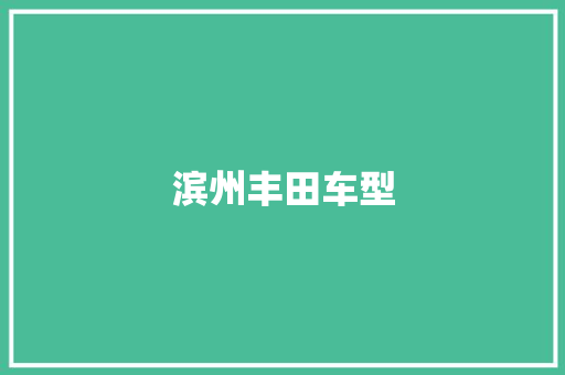 滨州丰田车型