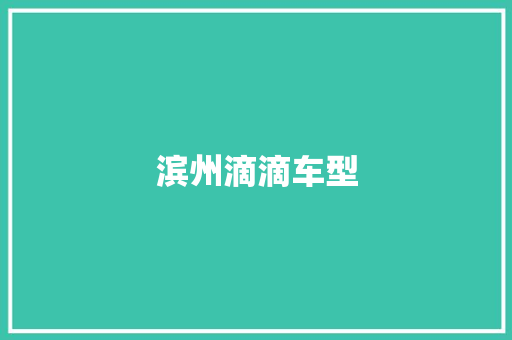 滨州滴滴车型