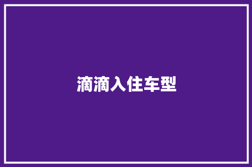 滴滴入住车型