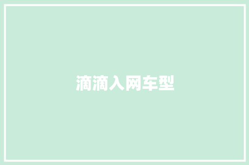 滴滴入网车型