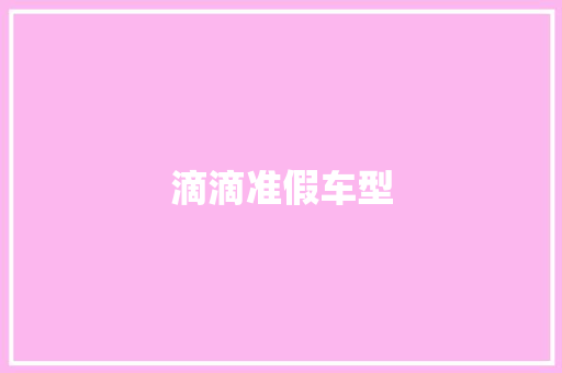滴滴准假车型