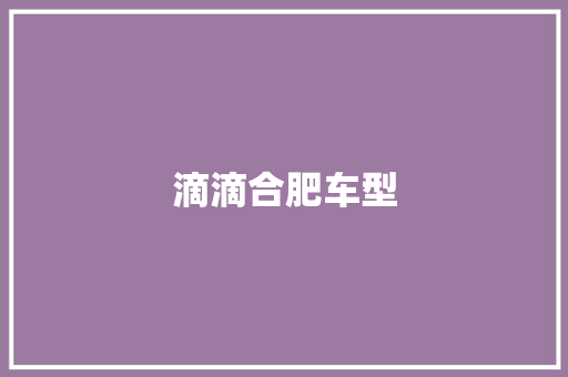 滴滴合肥车型