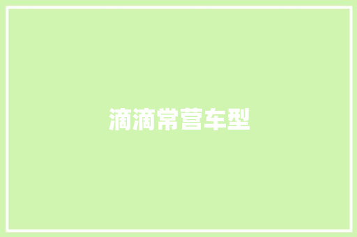 滴滴常营车型