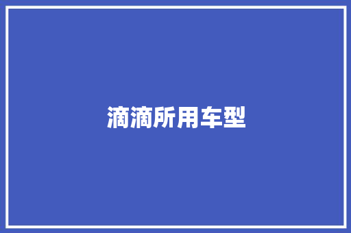 滴滴所用车型