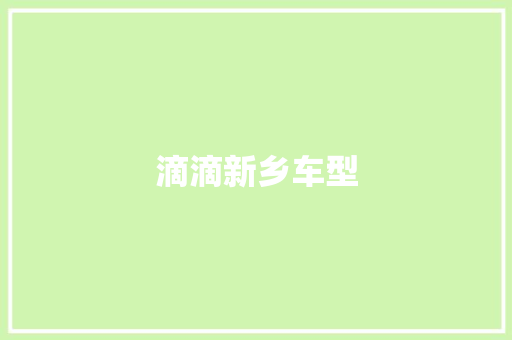滴滴新乡车型