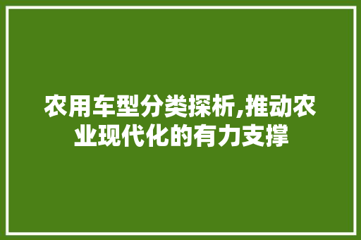 农用车型分类探析,推动农业现代化的有力支撑