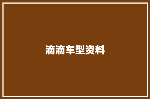 滴滴车型资料