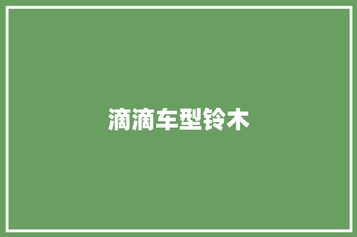 滴滴车型铃木