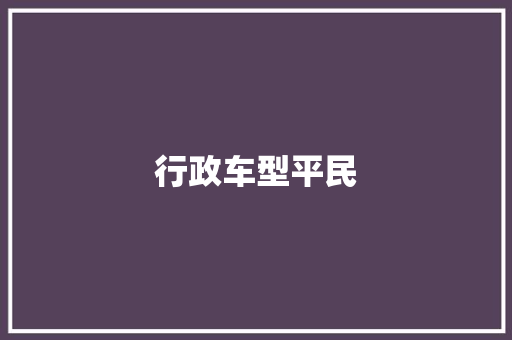 行政车型平民