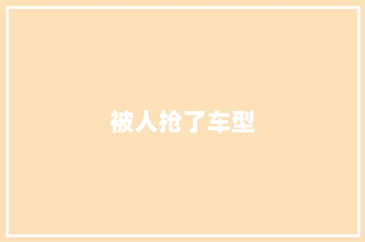 被人抢了车型