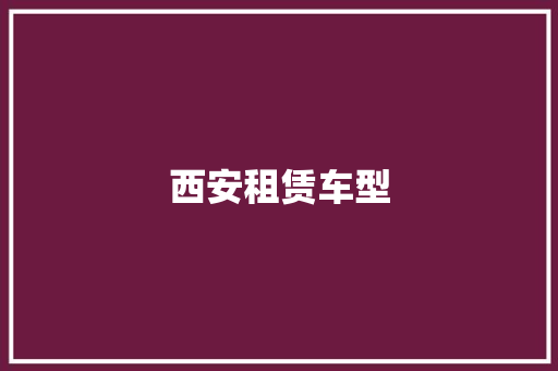 西安租赁车型
