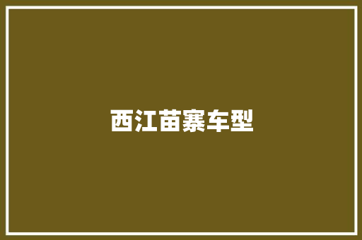 西江苗寨车型