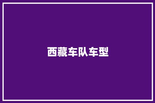 西藏车队车型