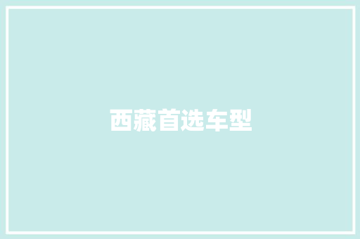 西藏首选车型