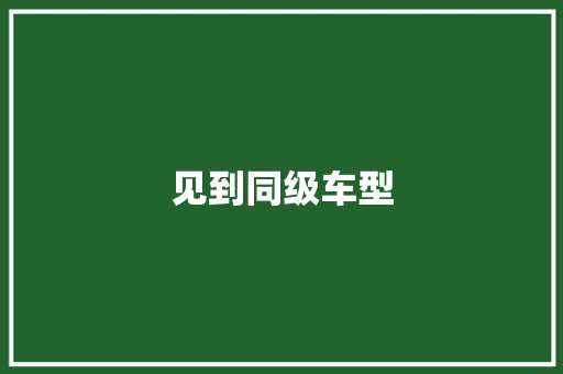 见到同级车型