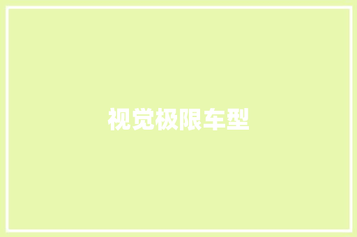 视觉极限车型