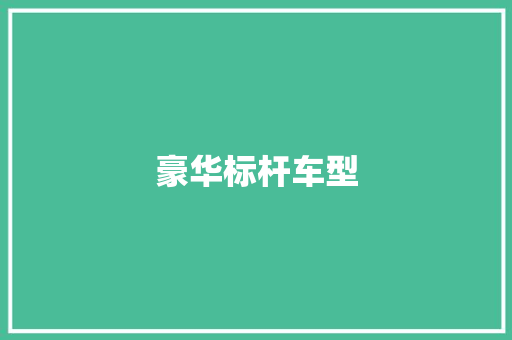 豪华标杆车型