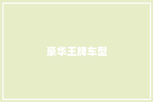 豪华王牌车型