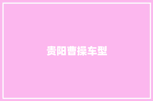 贵阳曹操车型
