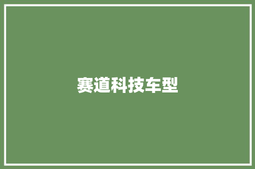 赛道科技车型