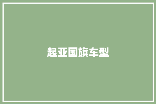 起亚国旗车型