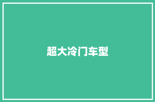 超大冷门车型