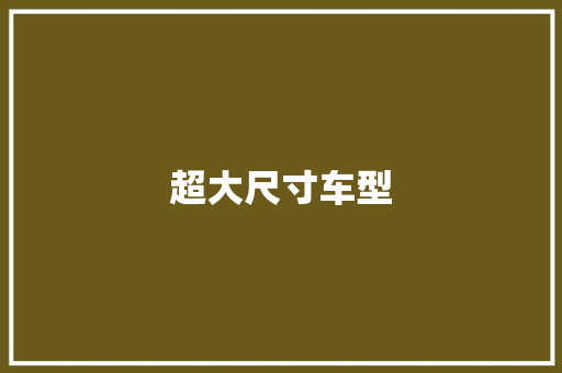 超大尺寸车型