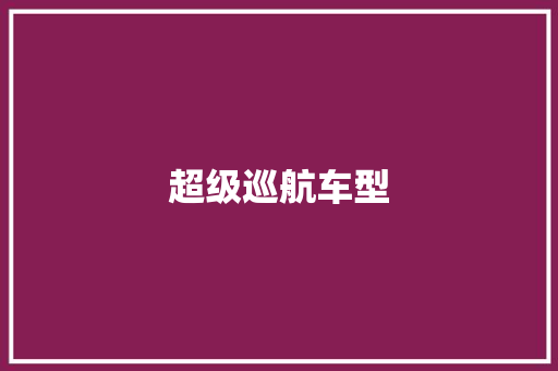 超级巡航车型