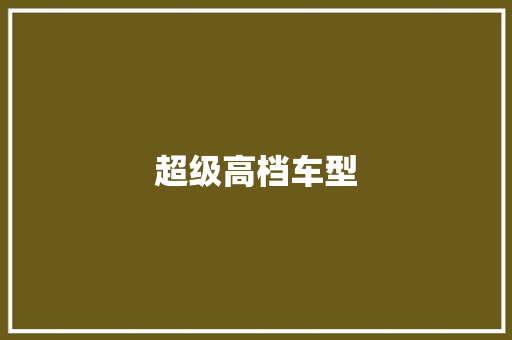 超级高档车型