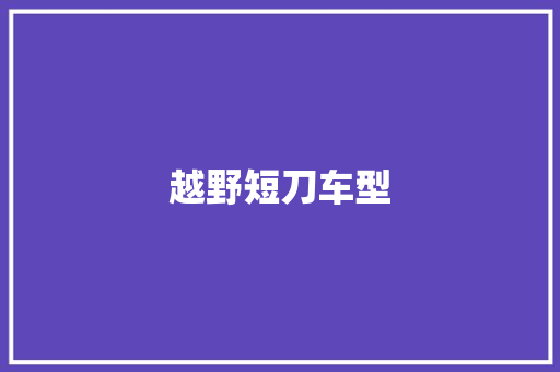 越野短刀车型
