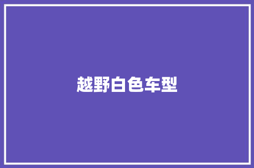 越野白色车型