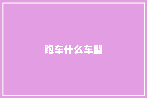 跑车什么车型
