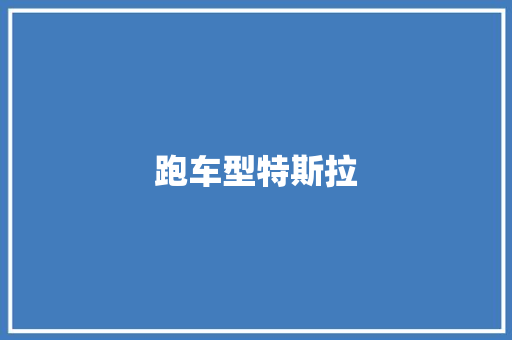 跑车型特斯拉