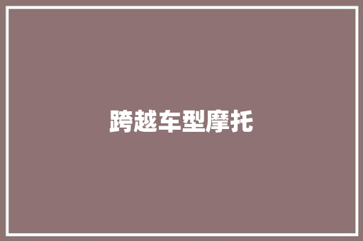 跨越车型摩托