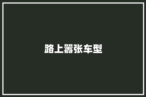 路上嚣张车型