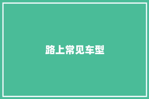 路上常见车型
