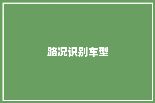 路况识别车型