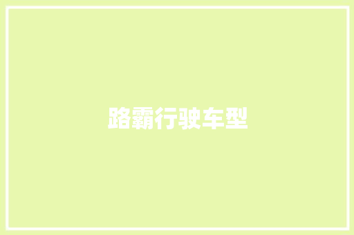 路霸行驶车型