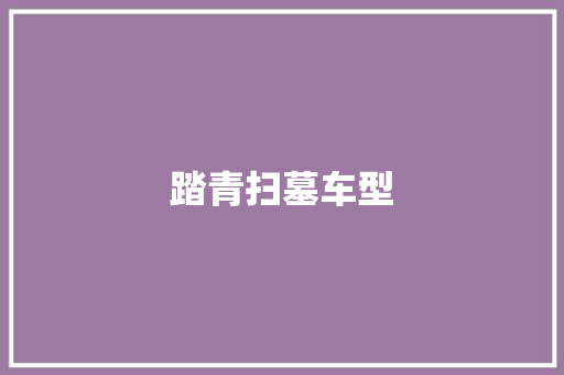 踏青扫墓车型