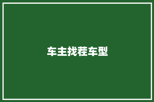 车主找茬车型