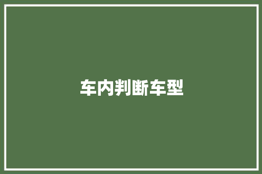 车内判断车型