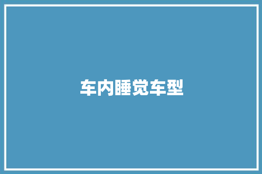 车内睡觉车型